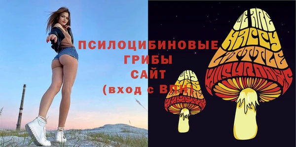 первитин Абаза