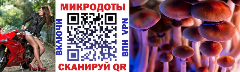 Галлюциногенные грибы прущие грибы Кумертау