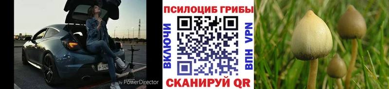 shop формула  Кумертау  Псилоцибиновые грибы ЛСД 